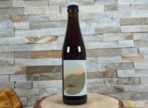 Bière artisanale ambrée 