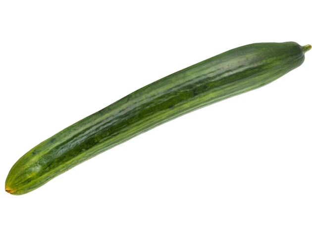 Concombre long bio - Pièce