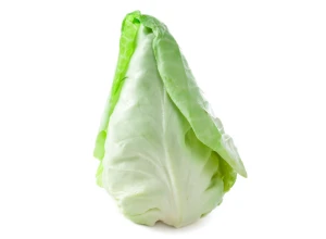 Chou pointu bio - Pièce