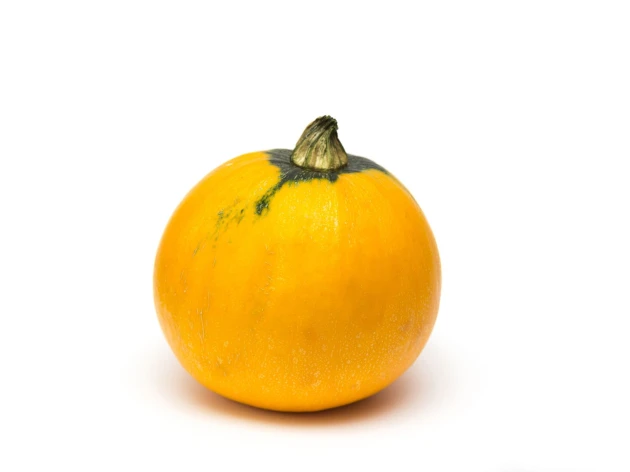 Courgette ronde jaune bio