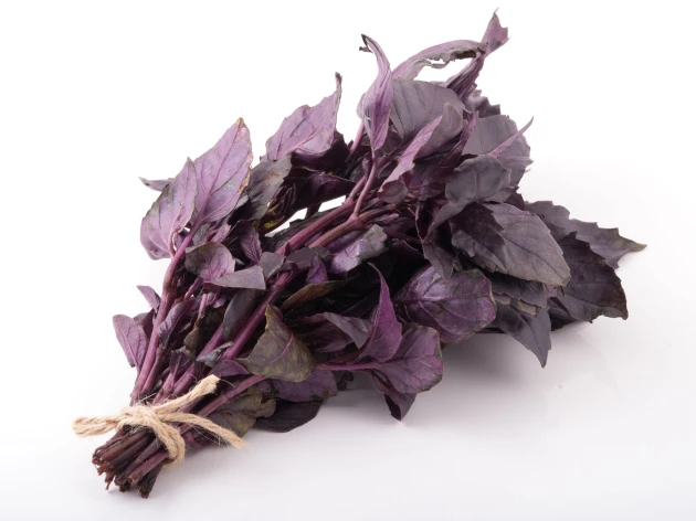 Basilic pourpre bio - Botte