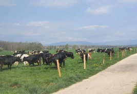 Ferme du Roetling