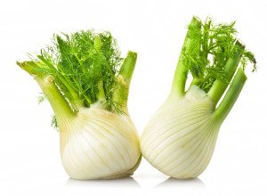 Fenouil bio