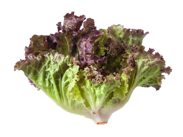 Batavia rouge bio - Pièce