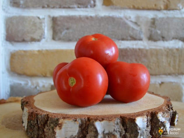 Tomate ronde rouge bio