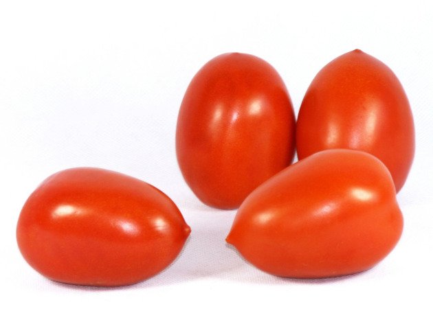 Tomate roma bio
