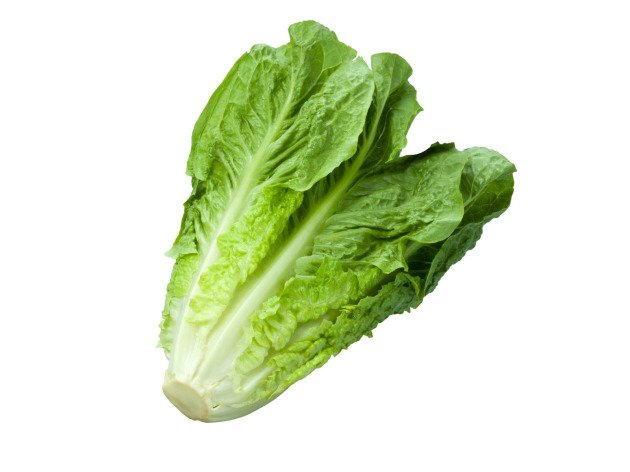 Laitue Romaine bio - Pièce