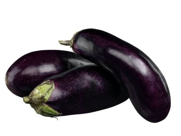 Aubergine violette bio