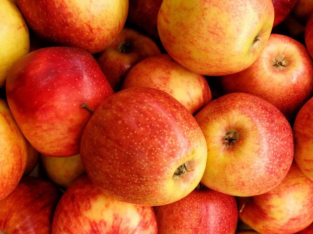 Pomme précoce bio - Sunrise - 1 kg