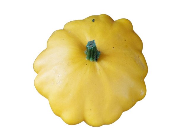 Pâtisson jaune bio - Pièce