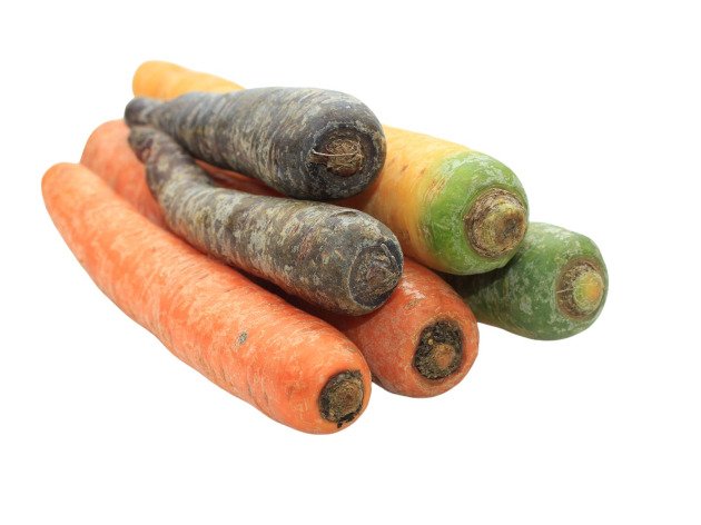 Carottes mélange de couleurs bio