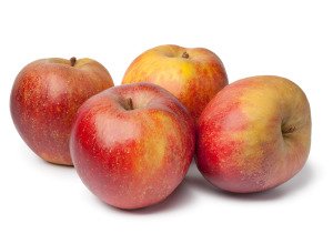Pomme bio - Boskoop - 1 kg