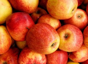Pomme bio - Gala - 1 kg