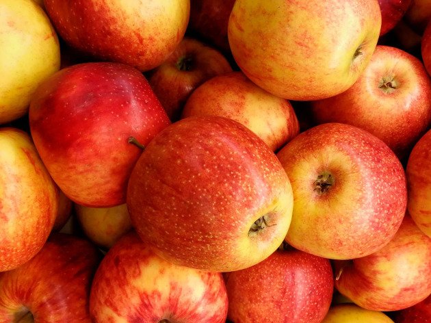 Pomme bio - Gala - 1 kg