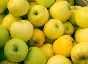Pomme bio - Golden - 1 kg