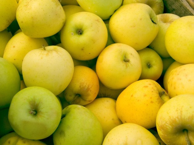 Pomme bio - Golden - 1 kg