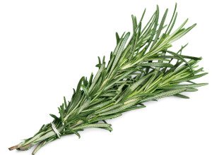 Romarin bio - Botte