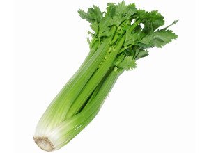 Céleri branche bio