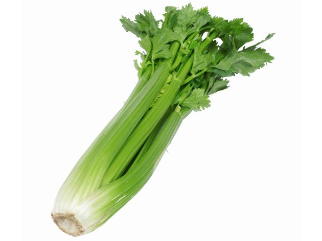 Céleri branche bio