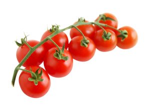Tomate cerise grappe bio - Producteurs sélectionnés