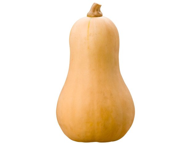 Butternut bio - Pièce - Producteurs sélectionnés