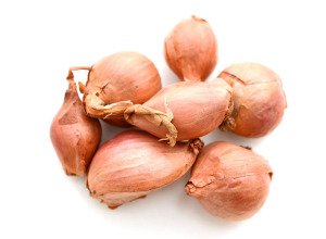 Echalote
