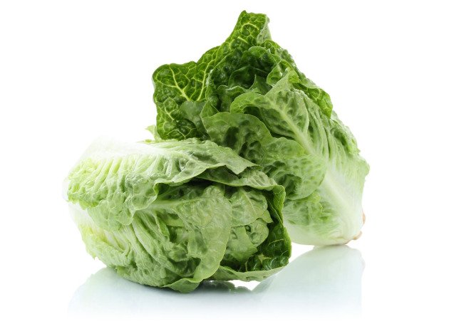 Romaine - Barquette 2 pièces - Producteurs sélectionnés