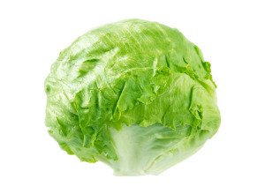 Laitue Iceberg - Producteurs sélectionnés