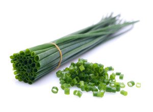 Ciboulette bio - Botte