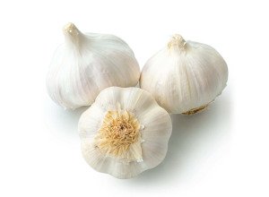 Ail de la Drôme Bio - Producteurs sélectionnés
