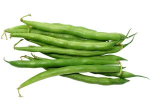 Haricot vert frais bio - Producteurs sélectionnés