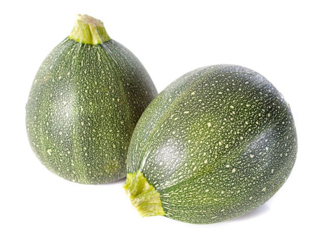 Courgette verte ronde bio  - Producteurs sélectionnés