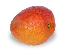 Mangue Tommy Atkins - Pièce - Producteurs sélectionnés
