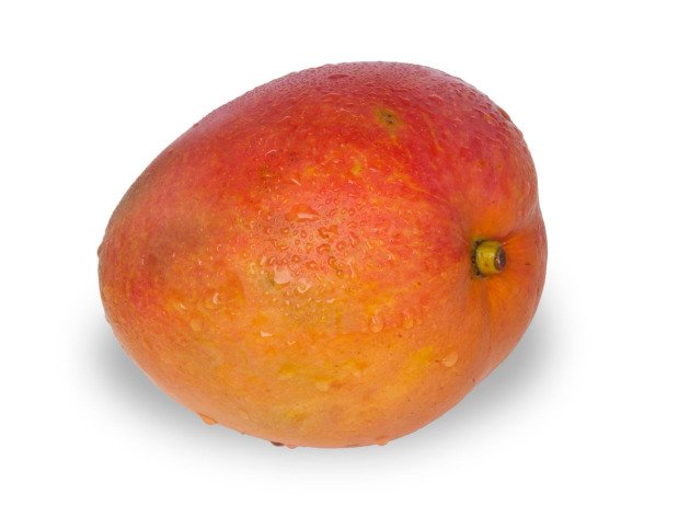 Mangue Tommy Atkins - Pièce - Producteurs sélectionnés
