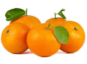 Orange de Sicile bio - Producteurs sélectionnés
