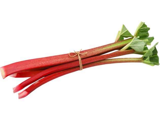 Rhubarbe bio - Producteurs sélectionnés