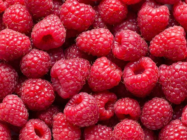 Framboise Roussillon bio - 125g