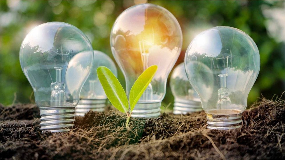Le Forum du Local dans votre entreprise !