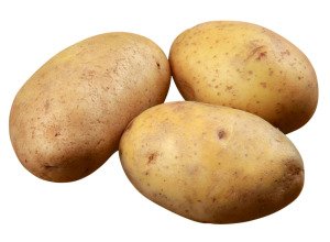 Pomme de terre primeur Bio - Nicola