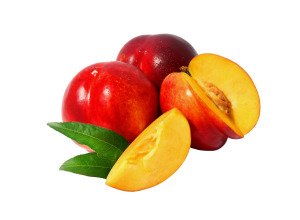 Nectarine jaune bio - Producteurs sélectionnés