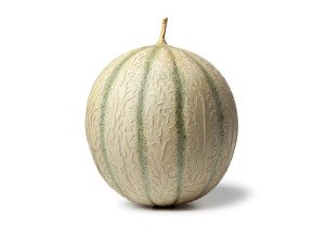 Melon Charentais bio - Producteurs sélectionnés