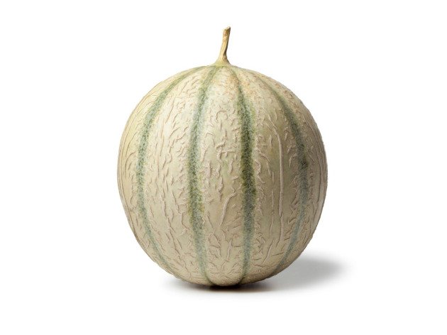 Melon Charentais bio - Producteurs sélectionnés