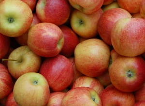 Pomme bio - Natyra - 1 kg