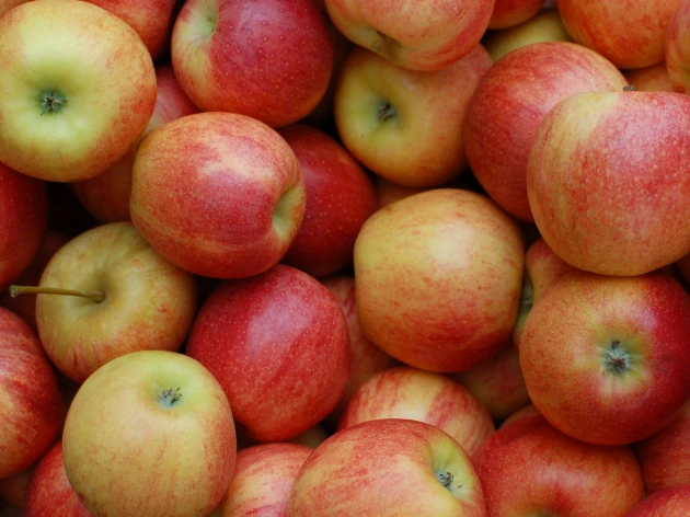 Pomme bio - Natyra - 1 kg