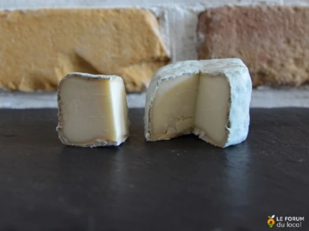 Fromage de chèvre affiné bio - Crottin