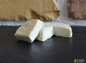 Fromage de chèvre affiné bio - Palet