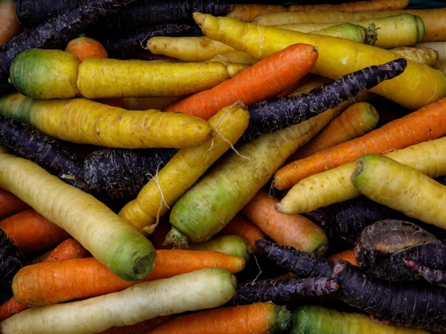 Carottes de couleur bio