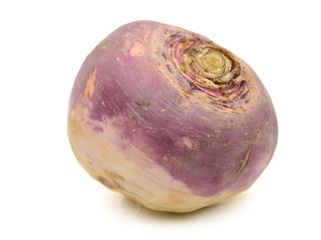 Rutabaga bio
