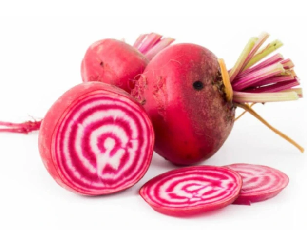 Betterave chioggia bio