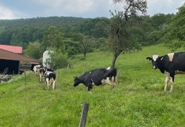 Les Délices de la Ferme